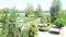 Studio 45.85 m&sup2; in Aspen Valley, Razlog