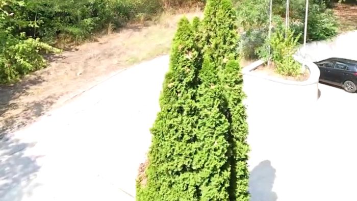 2-Room Apartment 65.52 m2 in Aquamarine B104, Obzor